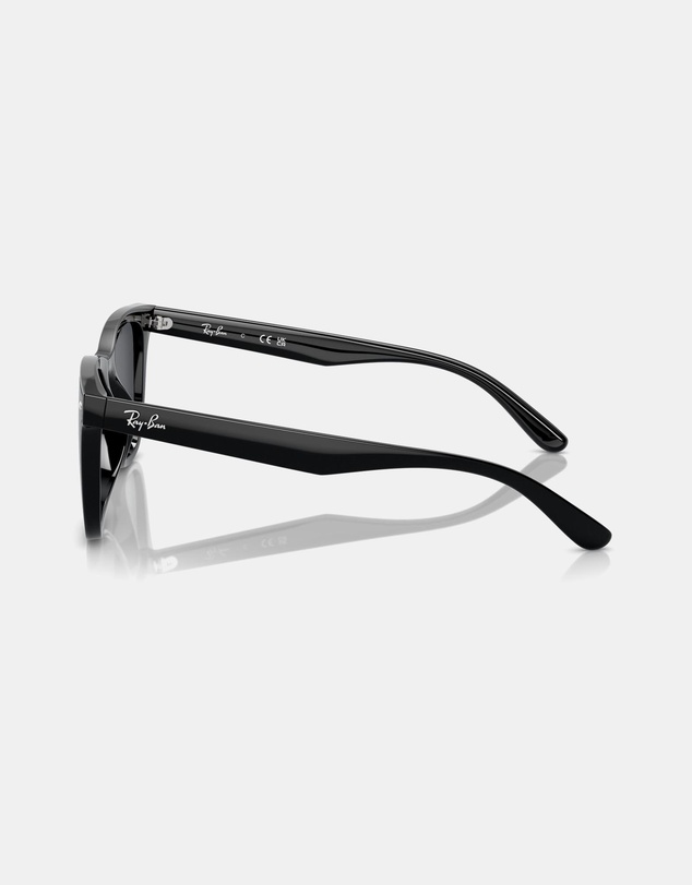 Ray-Ban - 0RB4420