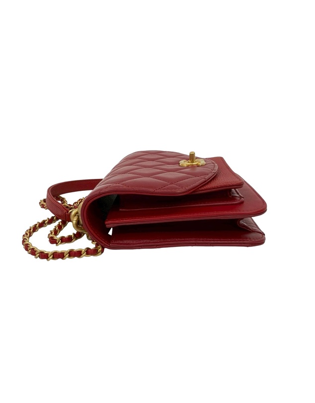 Pre-Loved by Azura Reborn - Pre-Loved Mini Quilted Calfskin and Caviar Chain Handle Flap