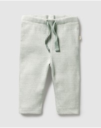 Wilson & Frenchy - Organic Stripe Rib Leggings - Babies