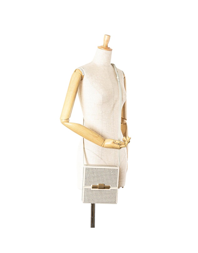 Pre-Loved by Azura Reborn - Pre-Loved bottega veneta The Pouch CrystalEmbellished Canvas Crossbody