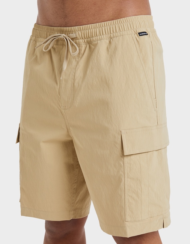 Quiksilver - Mens Taxer Cargo 19