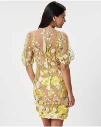 Honey and Beau - Enchanted Garden Dress