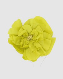 Morgan & Taylor - Cindy Fascinator