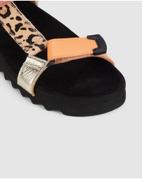 Rollie - Sandal Tooth Wedge