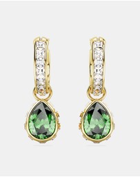Swarovski - Chroma drop earrings, Pear cut, Green, Gold-tone plated