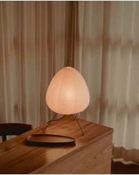 Dennis Did It - Absolutely Necessary Lamp