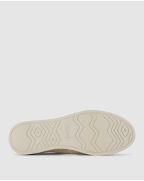 TOMS - Alpargata Plus