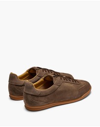 Aquila - Starling Sneakers