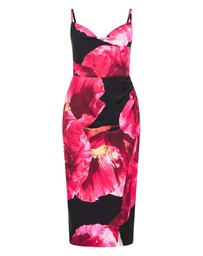 City Chic - Mariana Print Dress