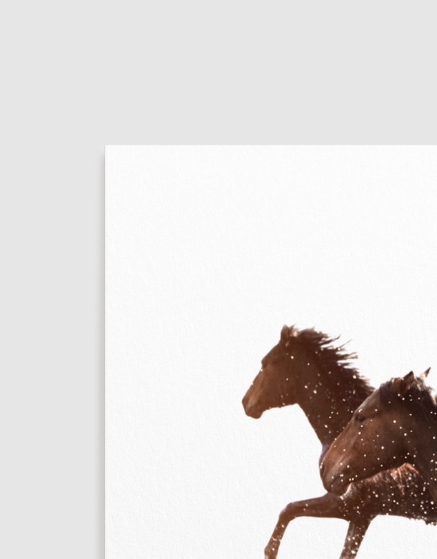 Olive et Oriel - Riviere Stallions Art Print