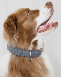 Lilly + Dash - Dog Walking Set – Matching Leash, Waste Bag Holder and Collar