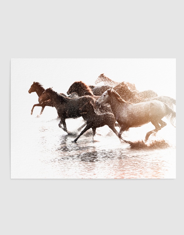 Olive et Oriel - Riviere Stallions Art Print