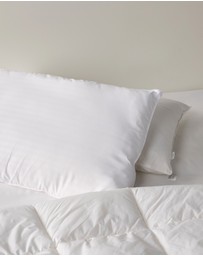 Linen House - Everyday Washable Standard Pillow