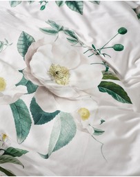 Linen House - Loretta Quilt Cover Set