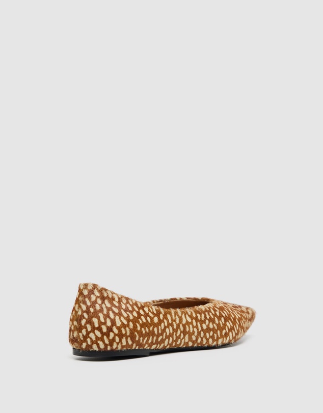 Oxford - Caolan Pointy Flat
