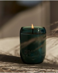 Ashley & Co - Waxed Perfume Outdoor with Citronella 310g