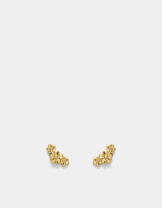 MIMCO - Garden Climber Stud Earrings - Gold