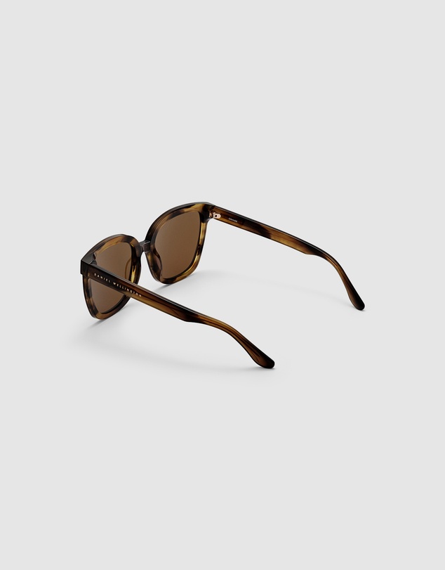 Daniel Wellington - Grande Acetate Brown Sunglasses