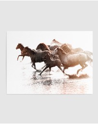 Olive et Oriel - Riviere Stallions Art Print