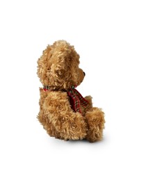 Animal Allsorts - Sebastian Bear - 20cm