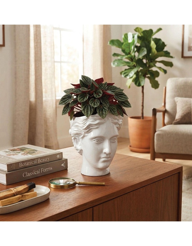 Urban Attitude - Urban Attitude Venus Head Planter - Matte White
