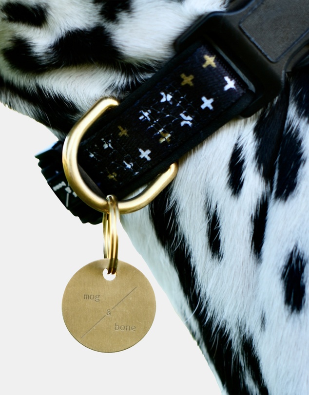 Mog & Bone - Mog & Bone ID Tag - Brass