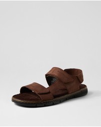 Rockport - Jhett Ro