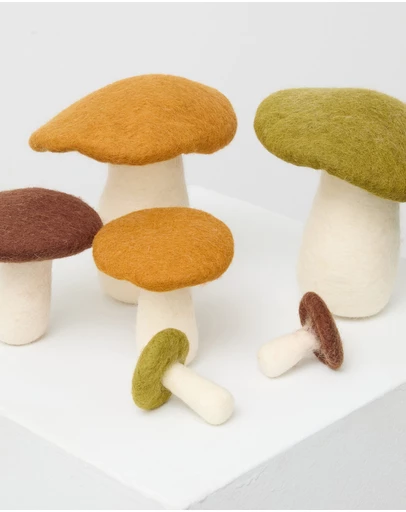 Phile - Crate of Mushrooms - Brown