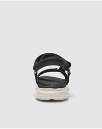 Active Flex - Native