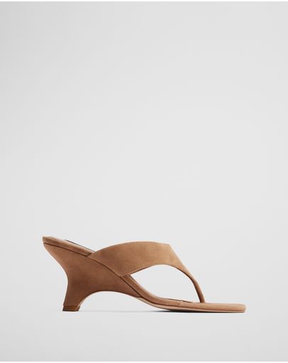 Camel