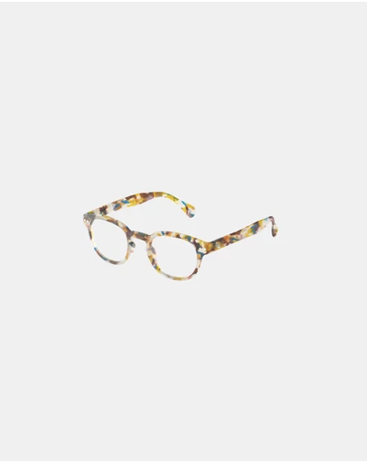 IZIPIZI - Reading Collection C Blue Tortoise