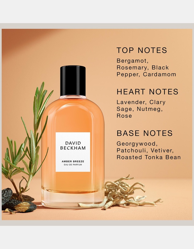 David Beckham Fragrances - David Beckham Collection Amber Breeze Eau De Parfum 100ml
