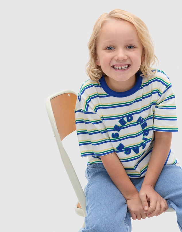 Seed Heritage - Multi Stripe Logo Tee