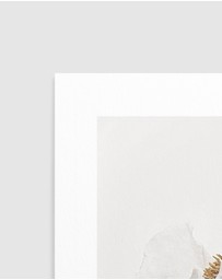 Olive et Oriel - White Poppy III Art Print