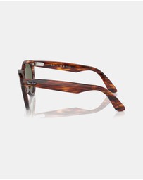 Ray-Ban - Wayfarer Way