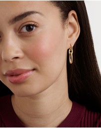 Ted Baker - SHIRINA: Crystal Shimmer Drop Earrings