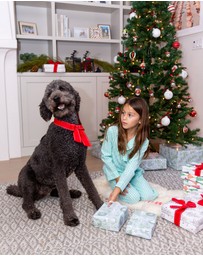 Sant And Abel - Kids Hepburn Gingham Mint Long PJ Set
