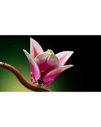 LEGO - Magnolia Branches