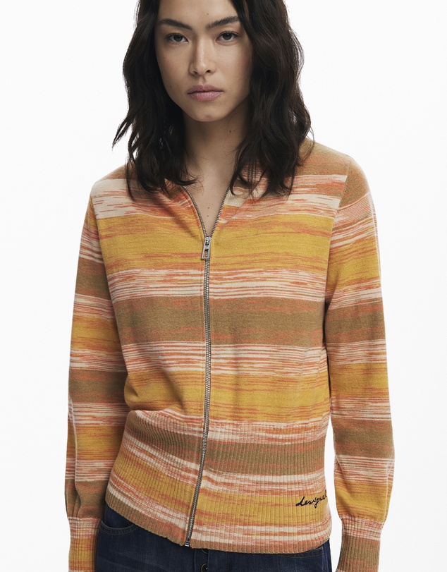 Desigual - Striped Hoodie With Zipper
