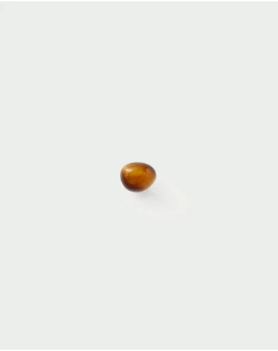 PDPAOLA - Tiger Eye Gravity Ear Piercing