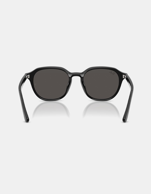 Ray-Ban - RB4459D