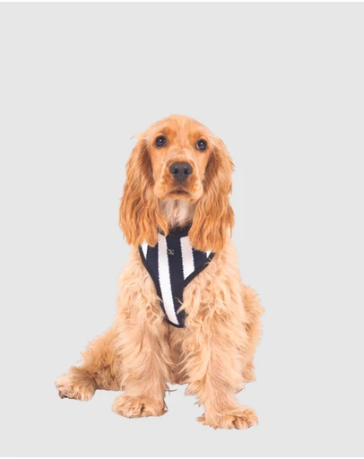 Mog & Bone - Neoprene Dog Harness - Navy Hamptons Stripe Print
