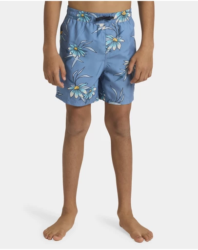 Quiksilver - Boys 8 to 16 Everyday 14