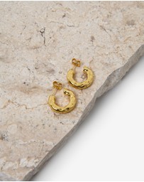 Forcast - Amaris Gold Hoop Earrings
