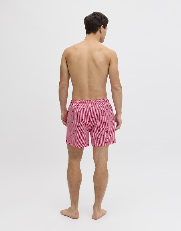 Jack & Jones - Jpstmaui Breeze Mini Stripe Swim Shorts
