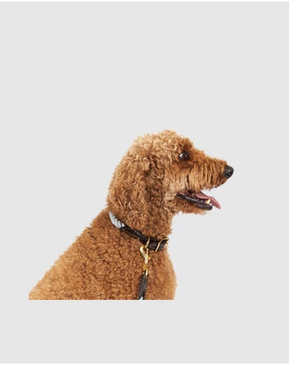 Mog & Bone - Rope & Leather Dog Collar- Grey