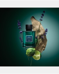 David Beckham Fragrances - David Beckham Instinct Eau De Parfum - 20th Anniversary Edition, 75ml