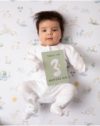 Living Textiles - Milestone Cards - Goosey Goosey