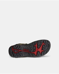 ECCO - ECCO Offroad