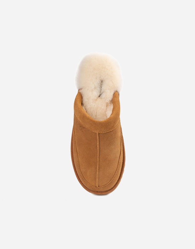 Ozwear Connection Uggs - Ugg Carter Men's Slipper (Water Resistant)